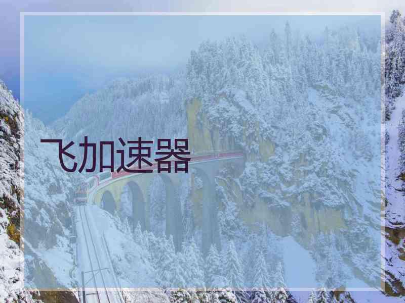飞加速器