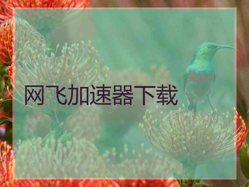 网飞加速器下载