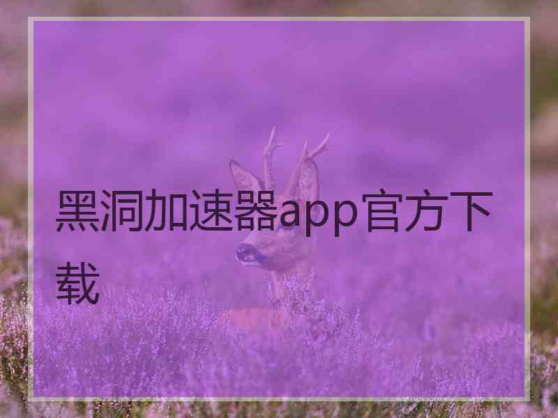 黑洞加速器app官方下载
