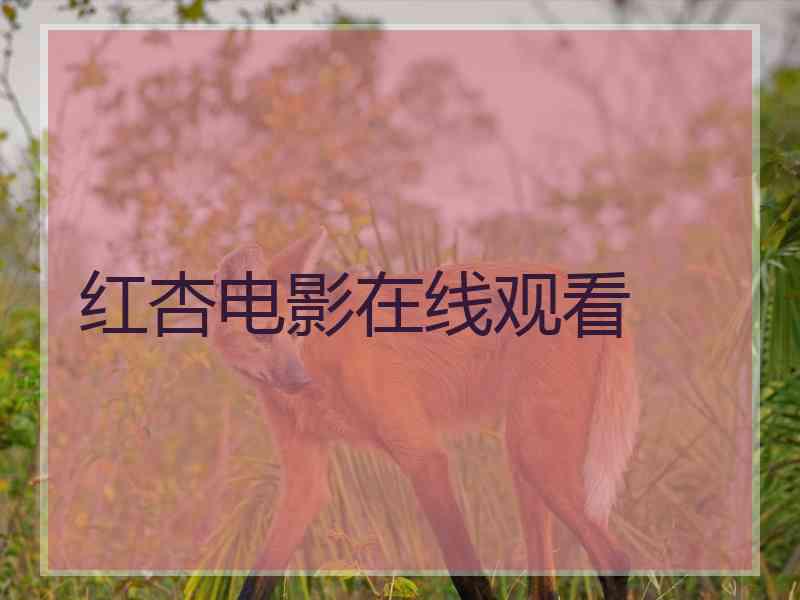 红杏电影在线观看