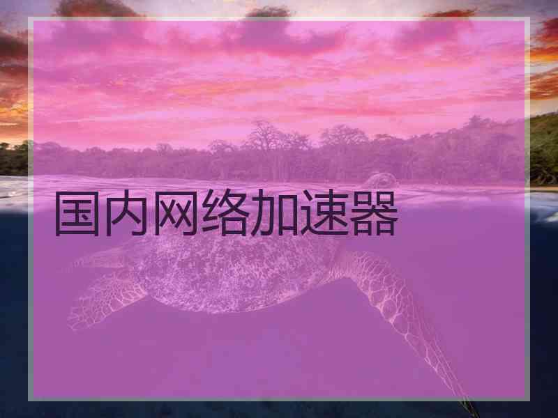 国内网络加速器