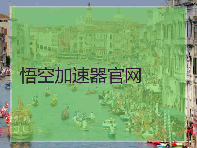 悟空加速器官网