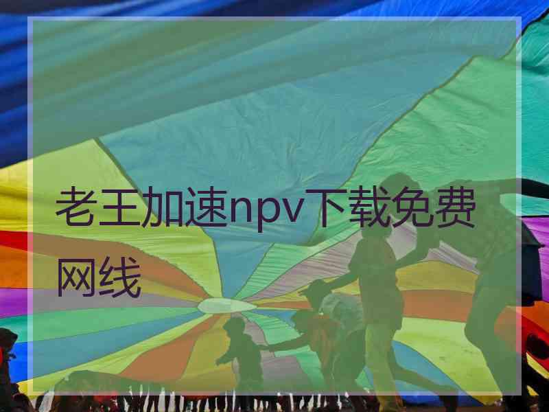 老王加速npv下载免费网线