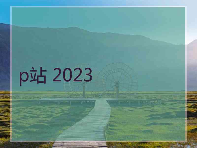 p站 2023