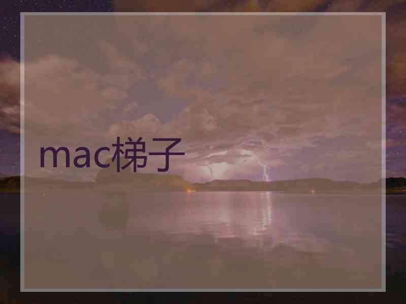 mac梯子