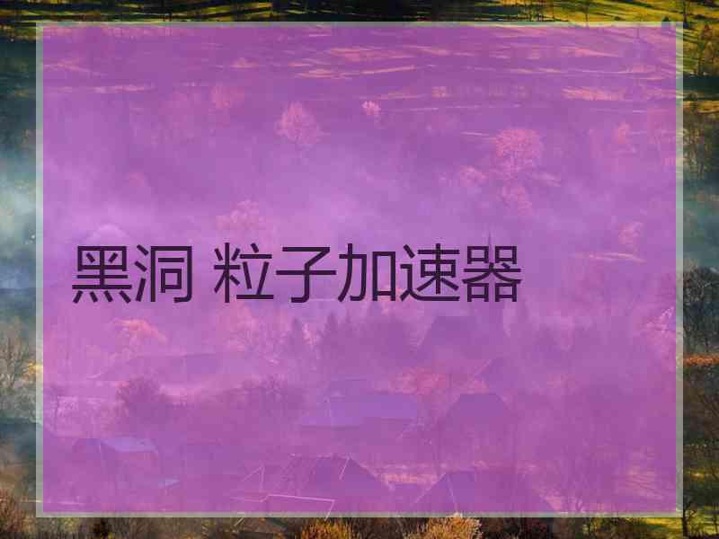 黑洞 粒子加速器