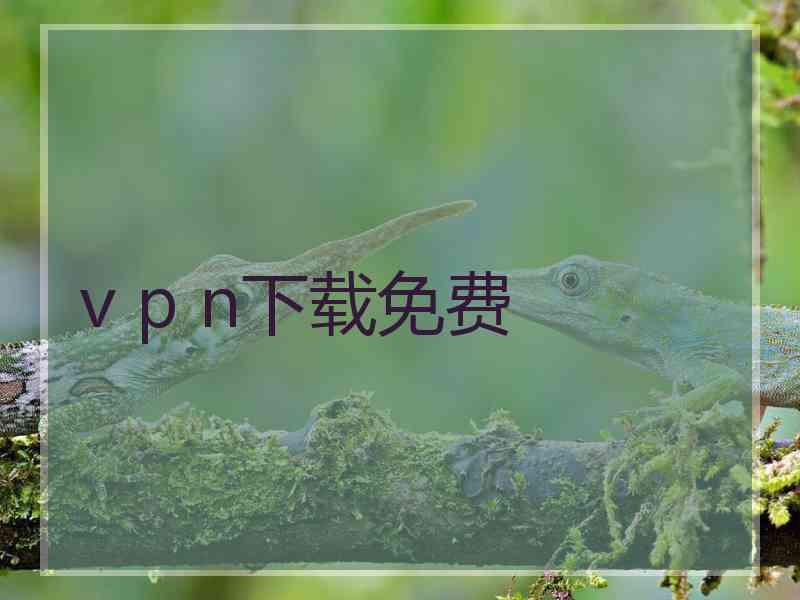 v p n下载免费