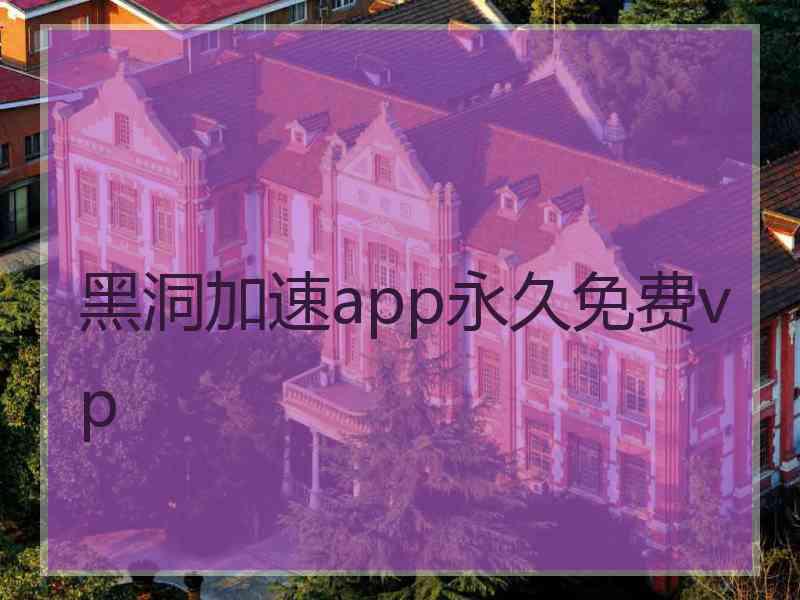 黑洞加速app永久免费vp
