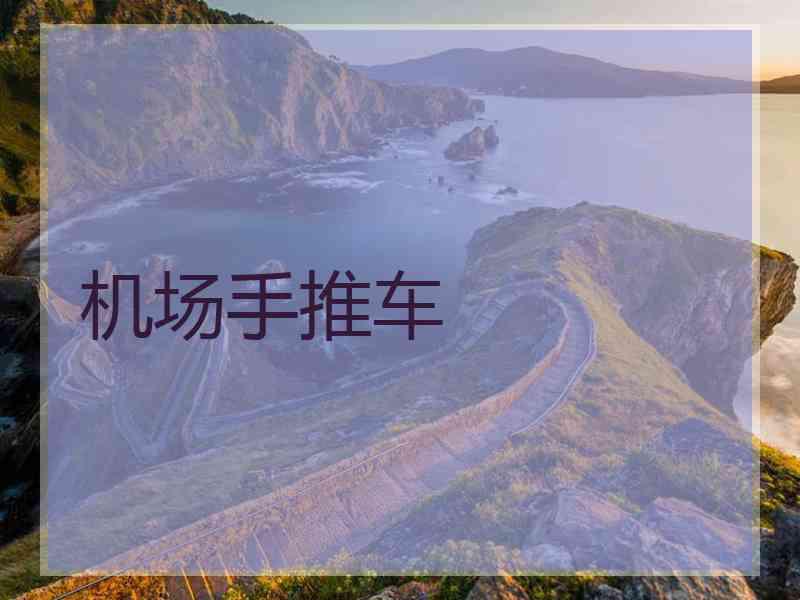 机场手推车