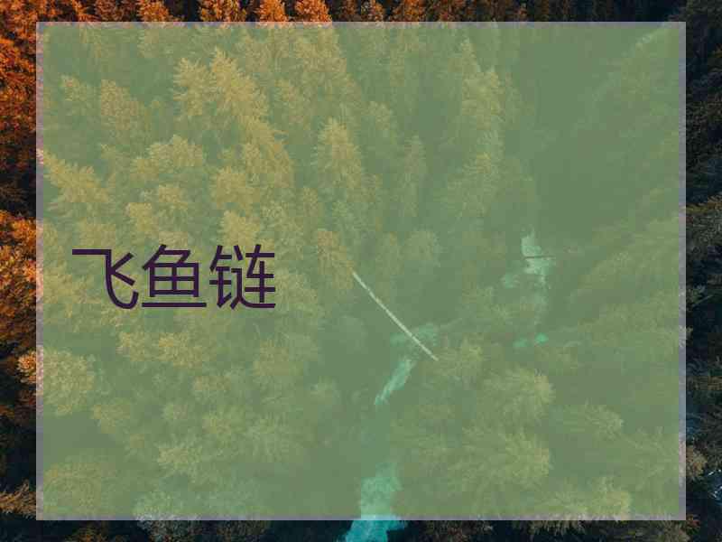 飞鱼链