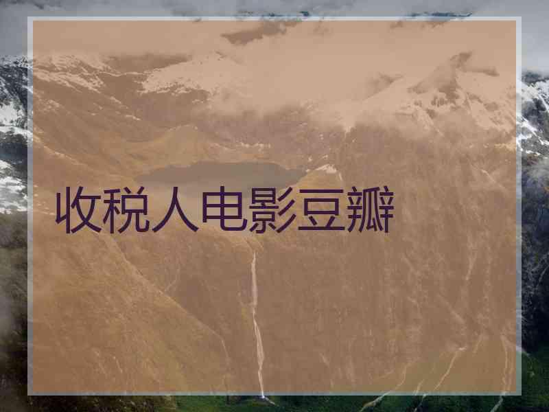 收税人电影豆瓣
