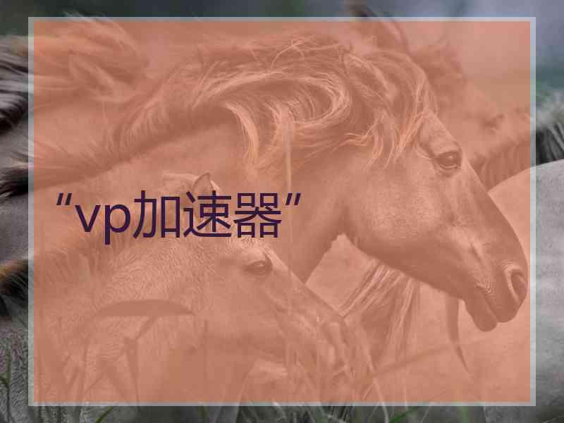 “vp加速器”