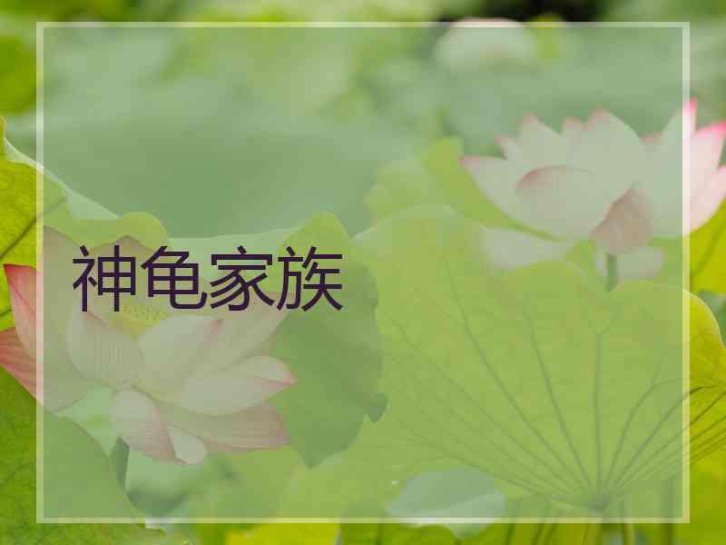 神龟家族