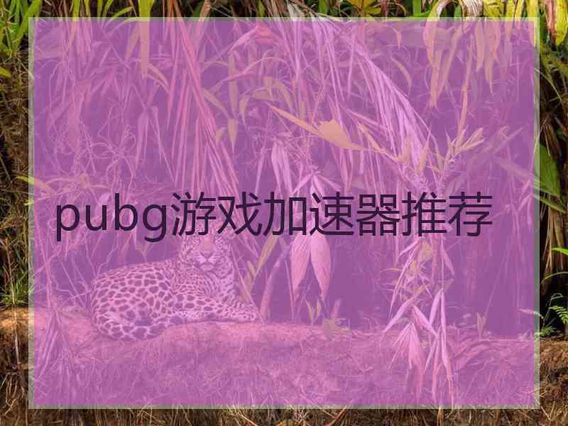 pubg游戏加速器推荐