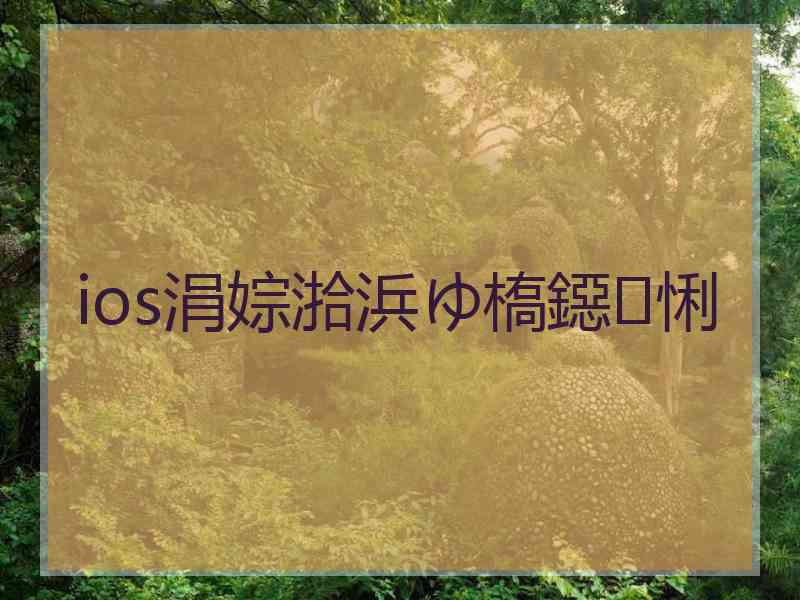 ios涓婃湁浜ゆ槗鐚悧