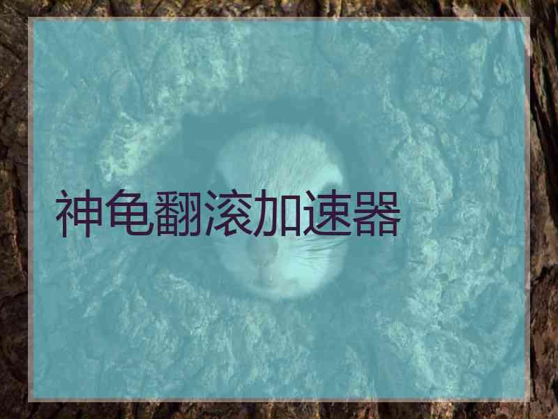 神龟翻滚加速器