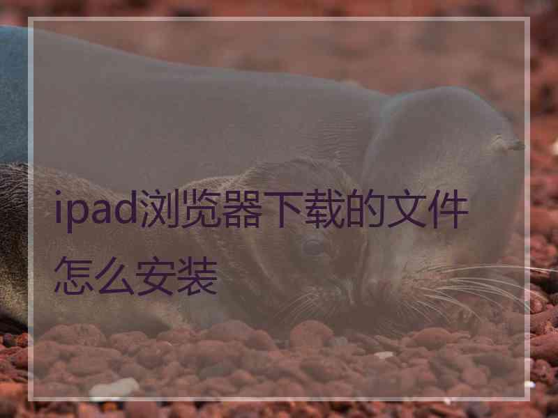 ipad浏览器下载的文件怎么安装
