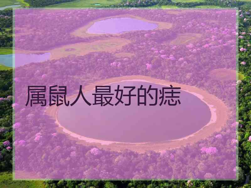 属鼠人最好的痣