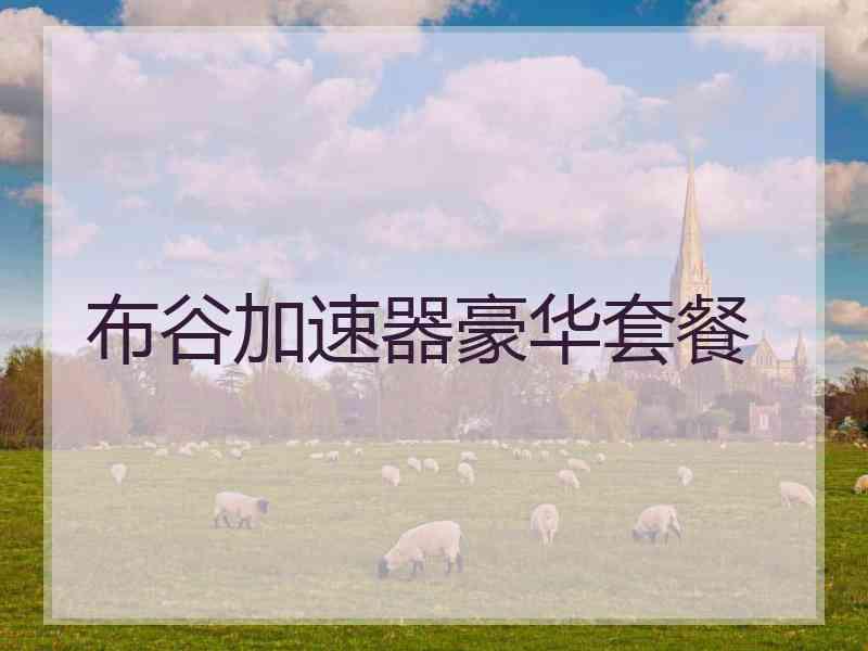 布谷加速器豪华套餐