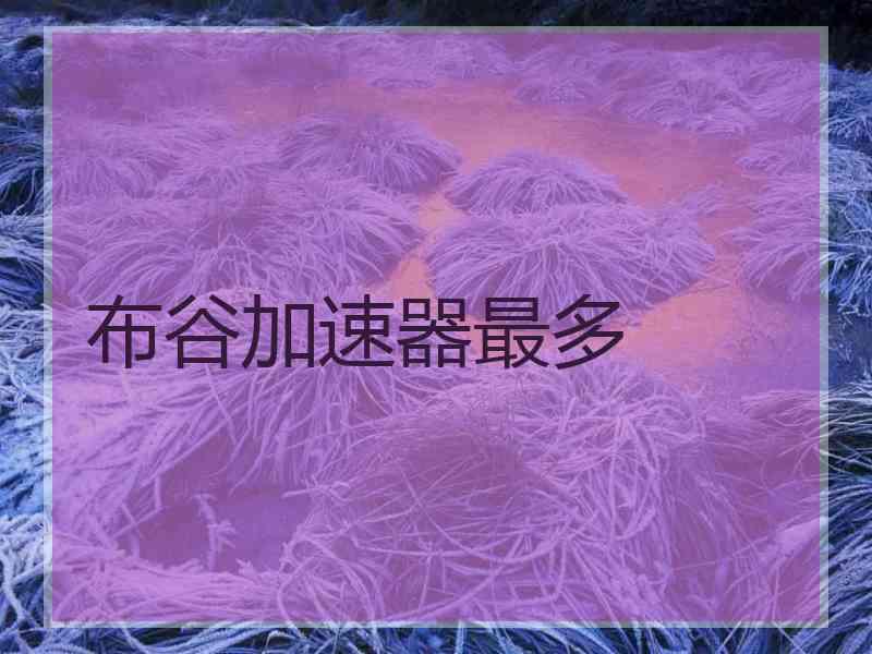 布谷加速器最多