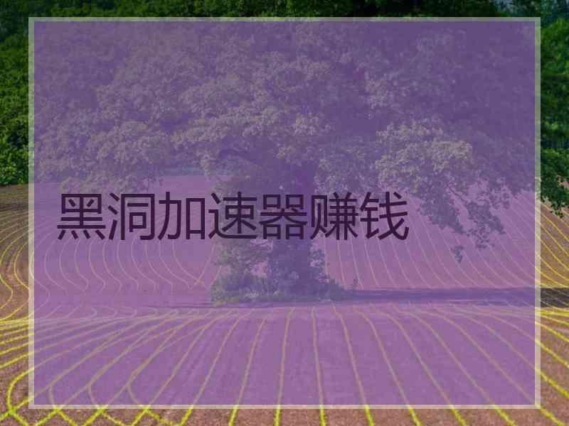 黑洞加速器赚钱