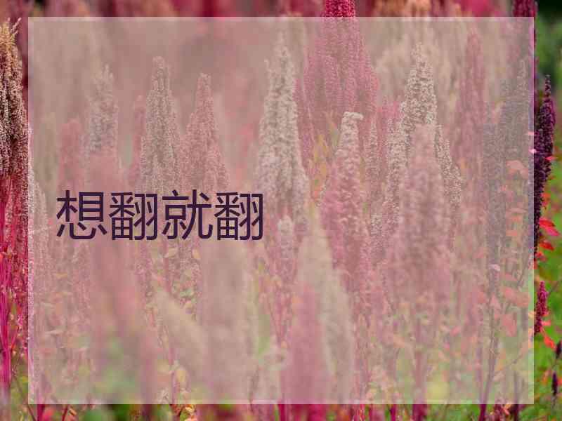 想翻就翻