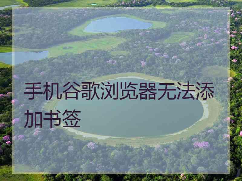 手机谷歌浏览器无法添加书签