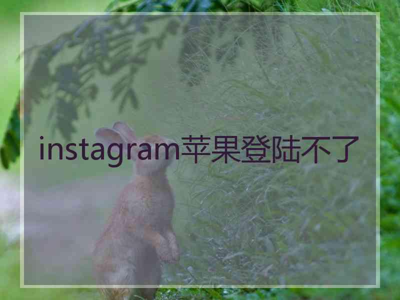 instagram苹果登陆不了
