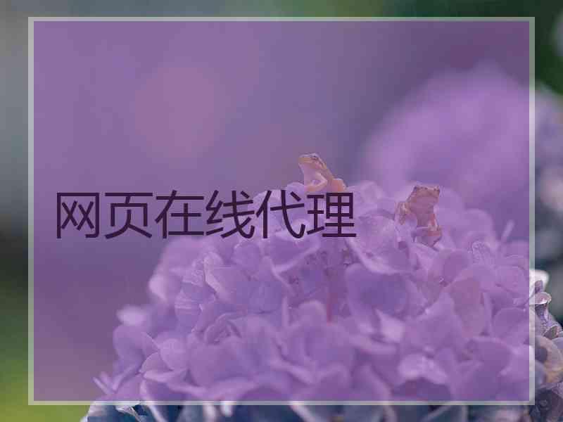 网页在线代理