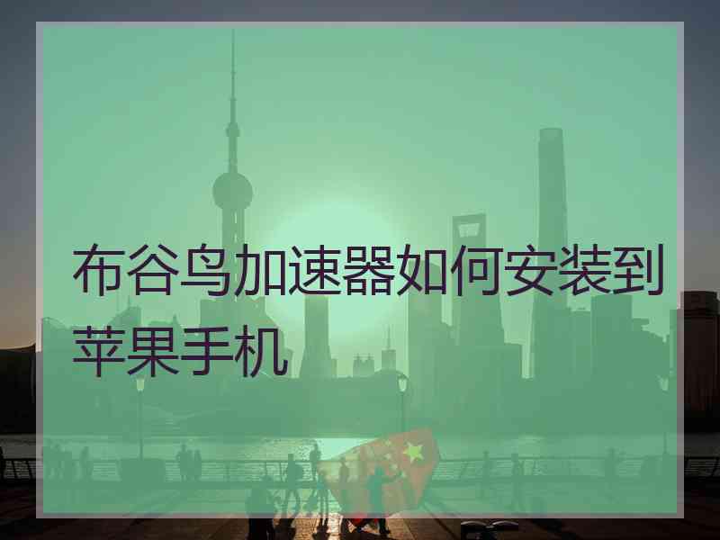 布谷鸟加速器如何安装到苹果手机