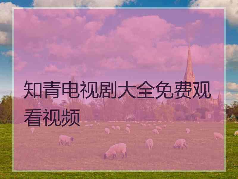 知青电视剧大全免费观看视频