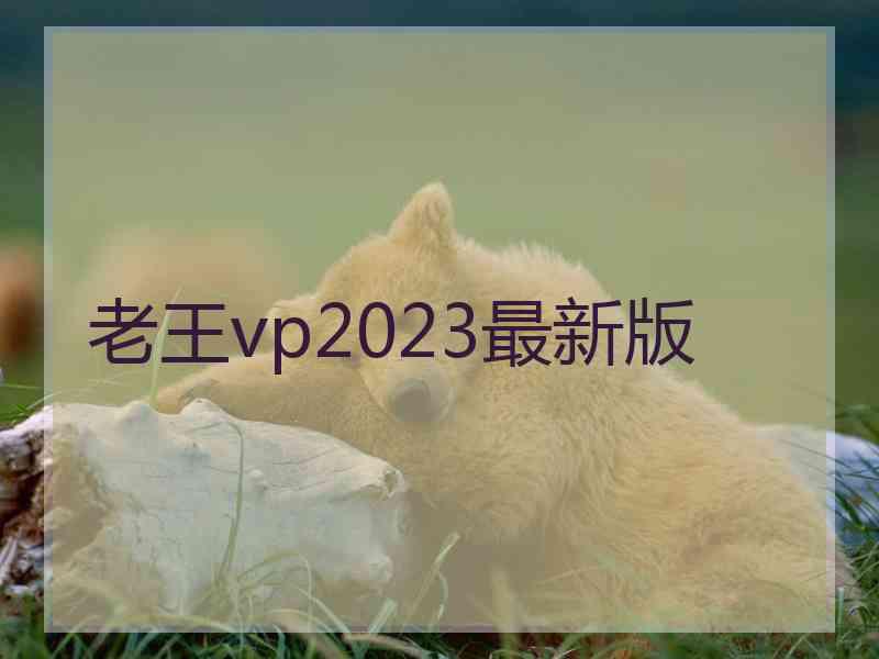 老王vp2023最新版