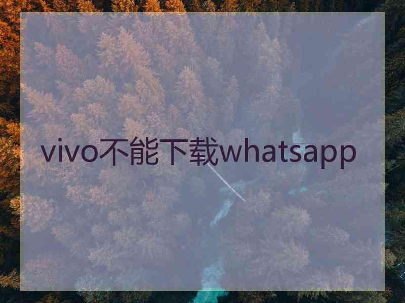vivo不能下载whatsapp