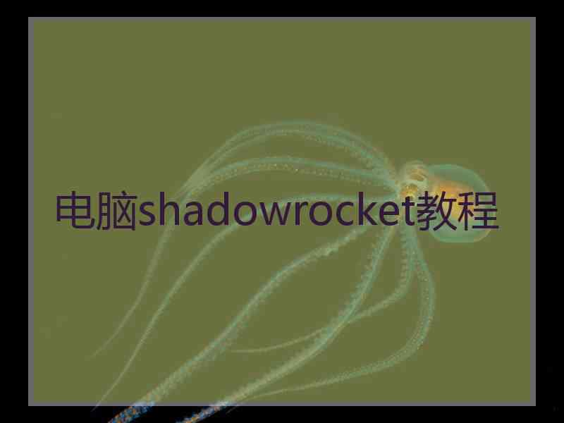 电脑shadowrocket教程