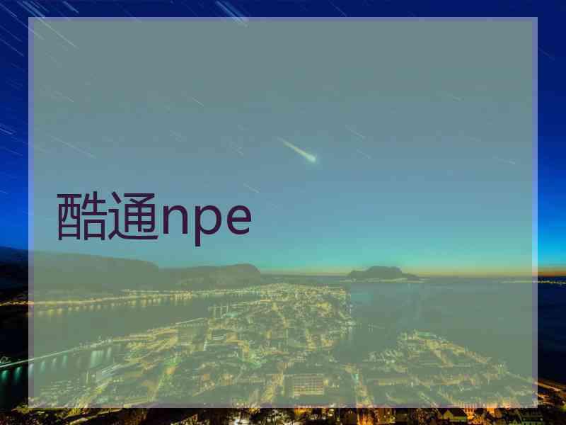 酷通npe