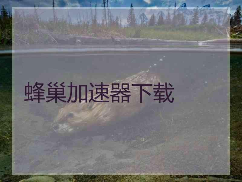 蜂巢加速器下载