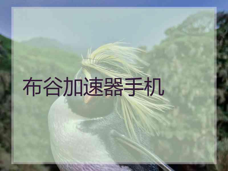 布谷加速器手机