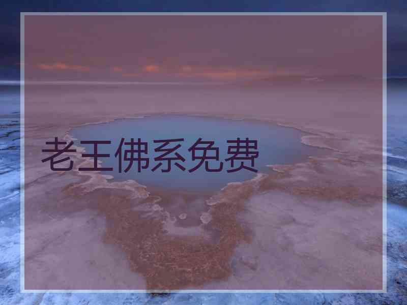 老王佛系免费