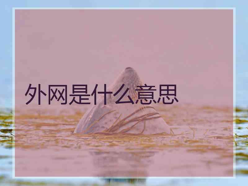 外网是什么意思
