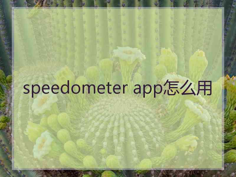 speedometer app怎么用