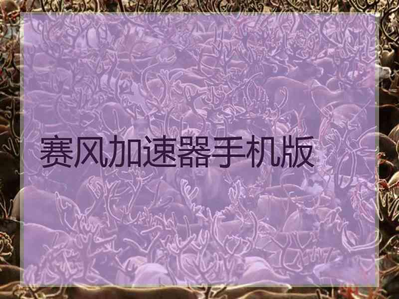 赛风加速器手机版