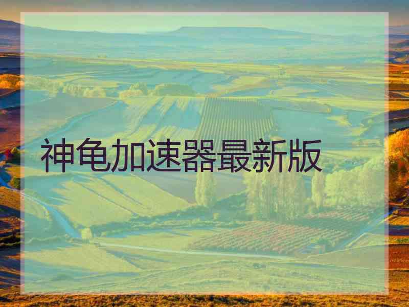 神龟加速器最新版