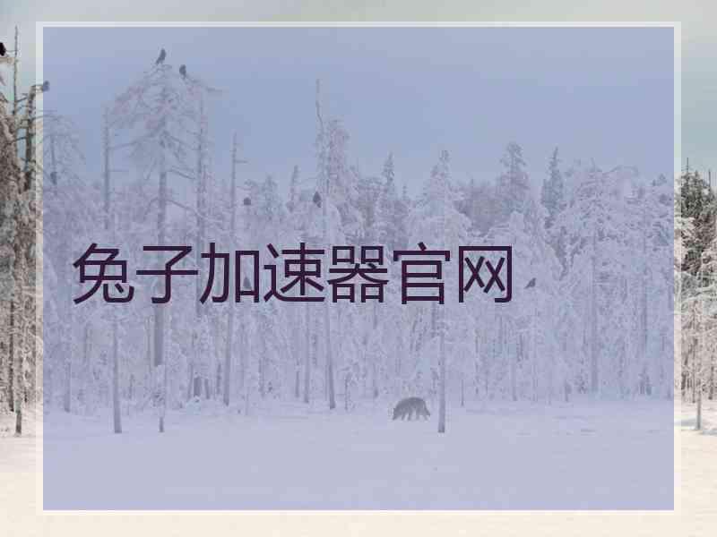 兔子加速器官网