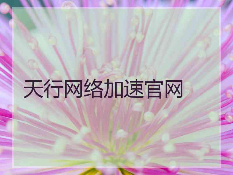 天行网络加速官网