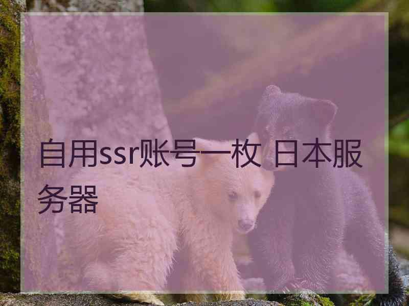 自用ssr账号一枚 日本服务器