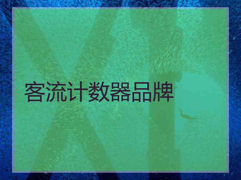 客流计数器品牌