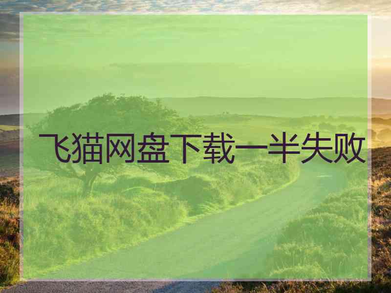 飞猫网盘下载一半失败