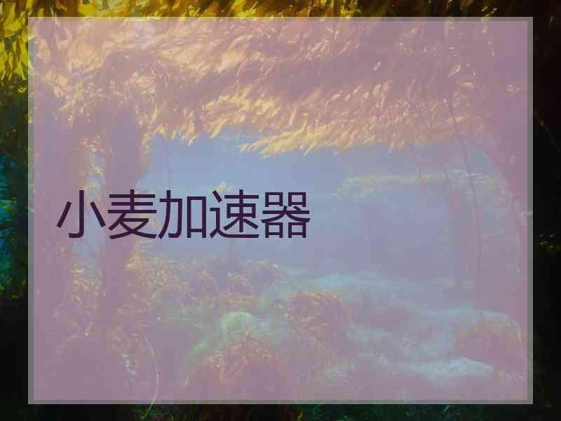 小麦加速器