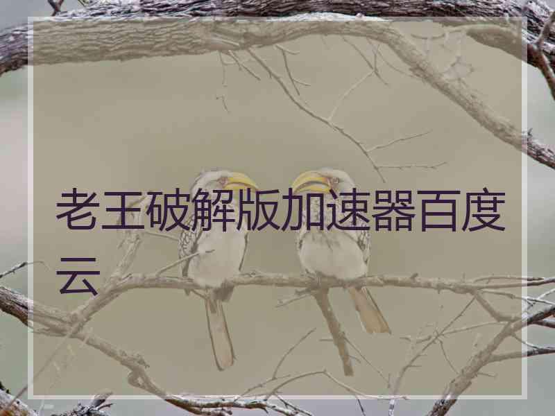 老王破解版加速器百度云