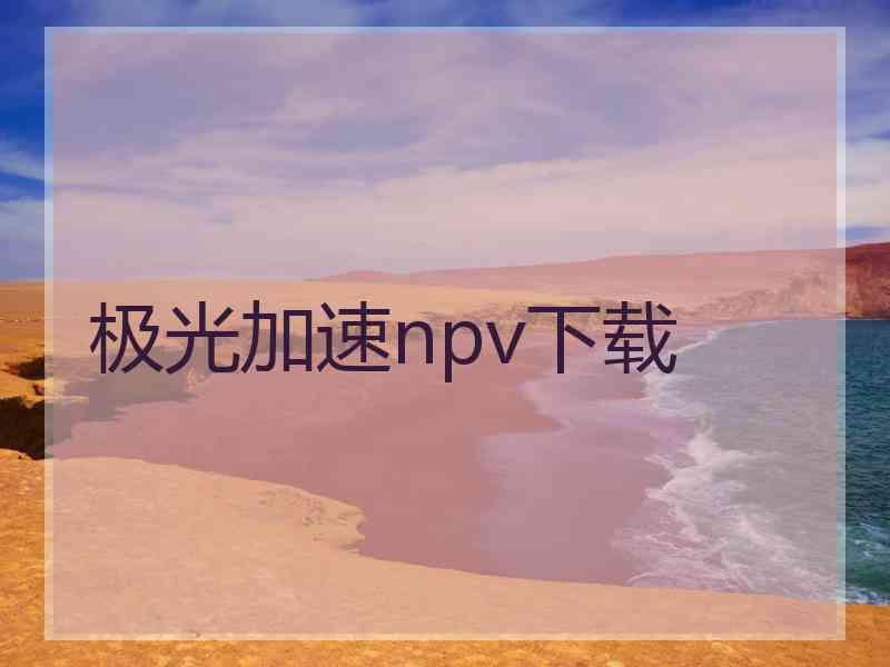 极光加速npv下载